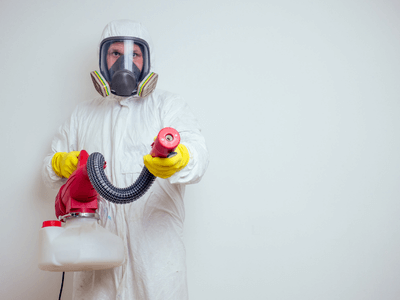 About Albany German Roach Pros - german roach extermination albany ga experts in Albany