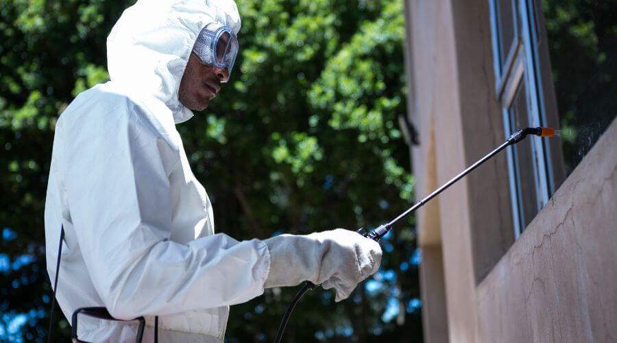 Why choose Albany German Roach Pros for german roach extermination albany ga in Albany